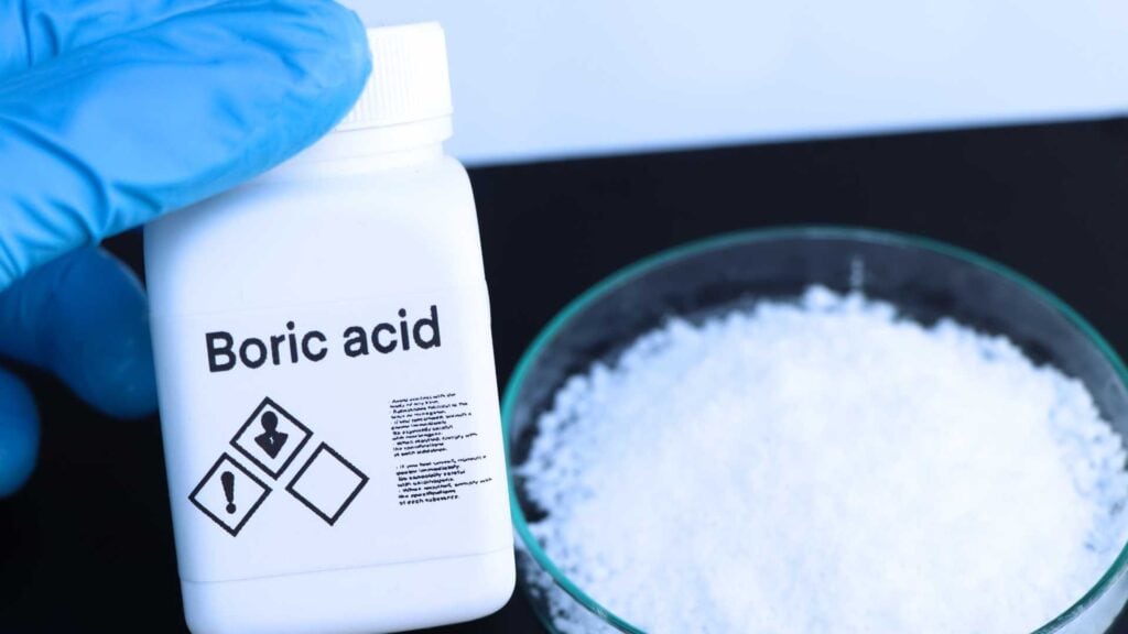 boric acid for termite prevention