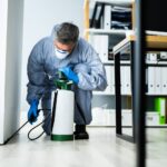 how is residential pest control done at home