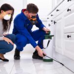 how much do pest companies cost melbourne