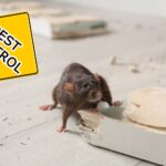 is pest control effective