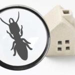 is pest control good for home