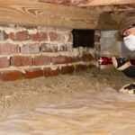 melbourne how to prevent termites from infesting your pre construction home