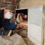 what are the risks of delaying a termite inspection