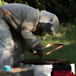 what do you need to know about bee removal