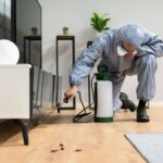 what happens after pest control melbourne