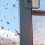 when do you need professional pest control for a mosquito infestation melbourne