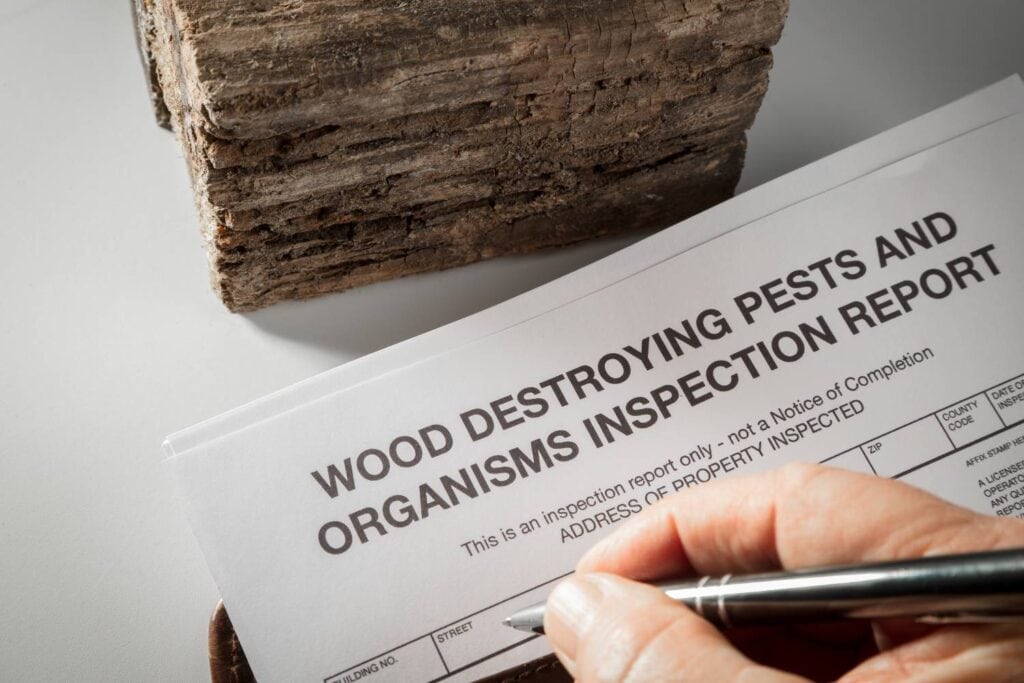 why is a termite inspection important for homeowners