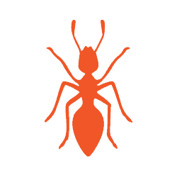 ants icon