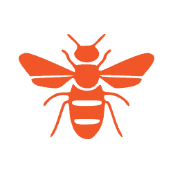 bees icon