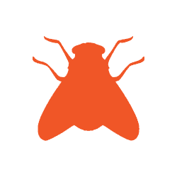 flies icon