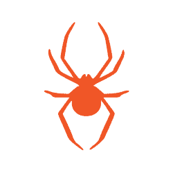 spiders icon